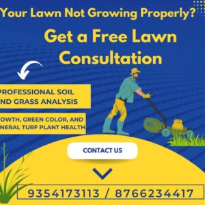 Balaji Nursery for Natural Lawn Grass in India