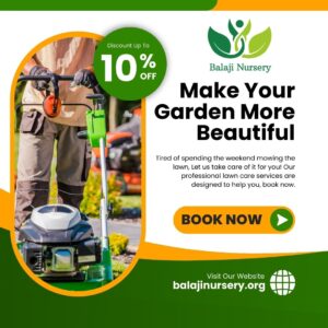Balaji Nursery for Natural Lawn Grass in India