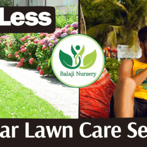 Balaji Nursery for Natural Lawn Grass in India