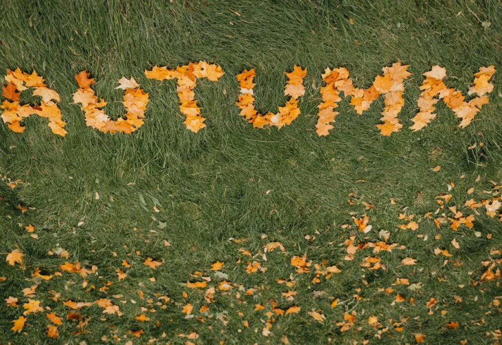 How Climate Affects the Growth of Natural Lawn Grass
