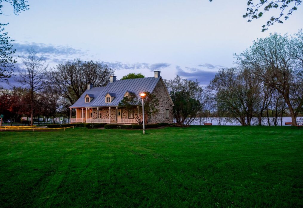 How to Create a Relaxing Backyard Oasis with Lawn Grass and Calming Plants