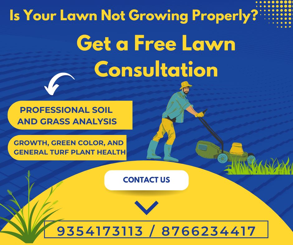How to Maintain Lawn Grass in Gujarat’s Hot Climate