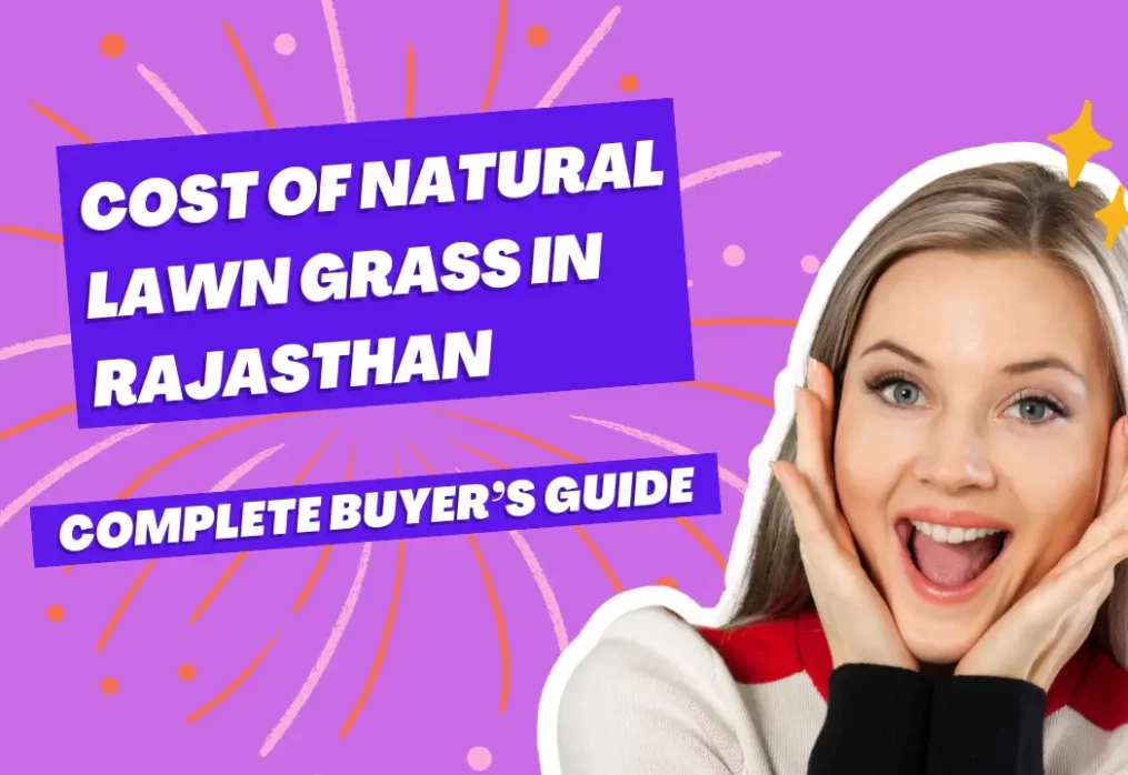 Cost of Natural Lawn Grass in Rajasthan – Complete Buyer’s Guide