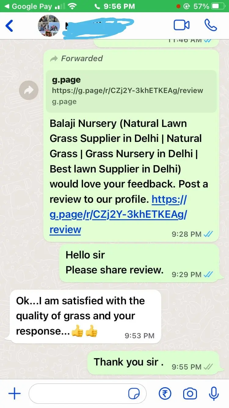 Balaji Nursery customer feedback WhatsApp screenshot – fresh lawn grass delivery