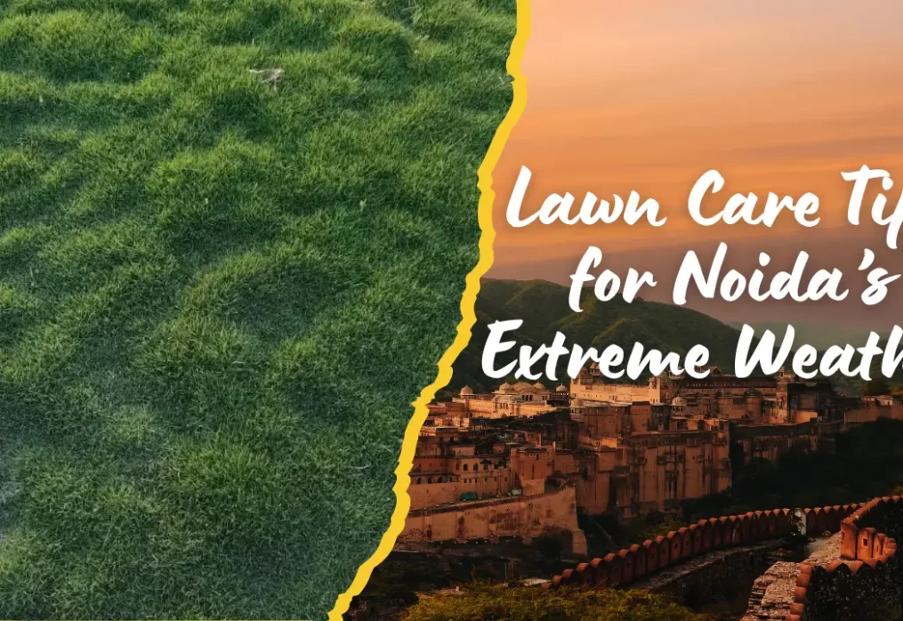 Lawn Care Tips for Noida’s Extreme Weather