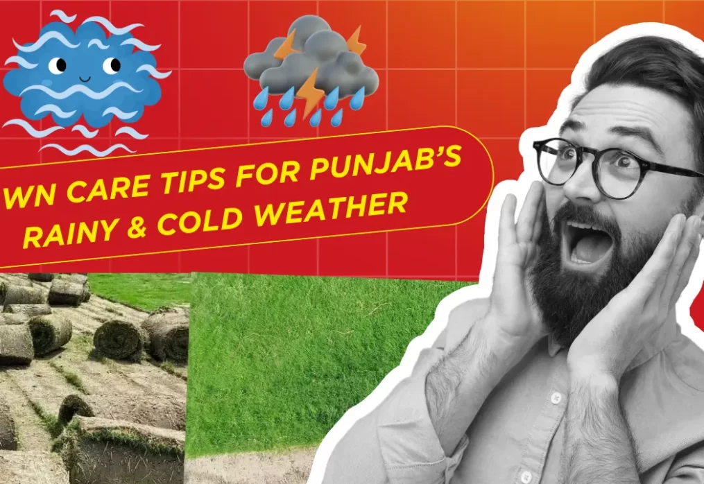 Lawn Care Tips for Punjab’s Rainy & Cold Weather
