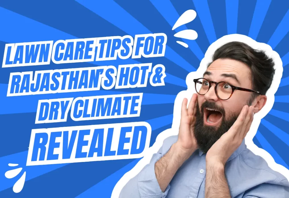 Lawn Care Tips for Rajasthan’s Hot & Dry Climate