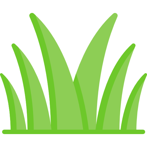  Natural Grass Development