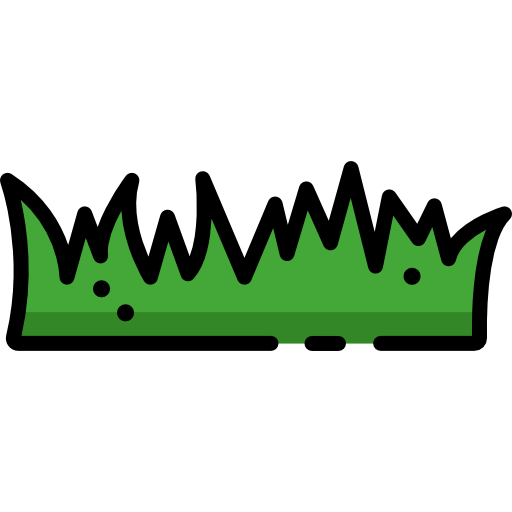Premium Quality Grass