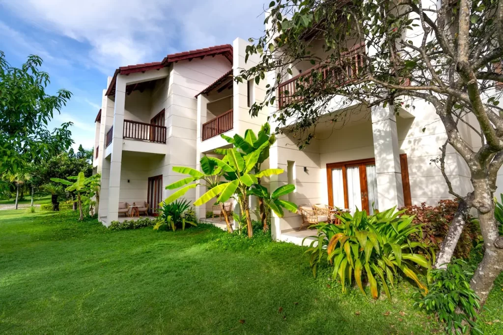 best grass for lawns india