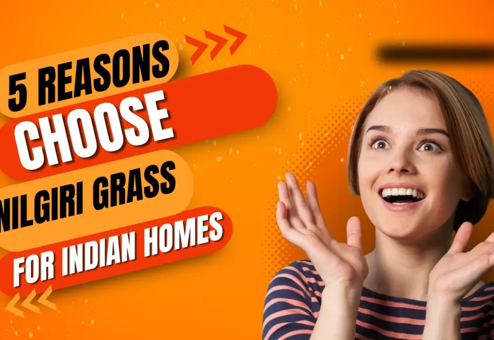5 Reasons to Choose Nilgiri Grass for Indian Homes