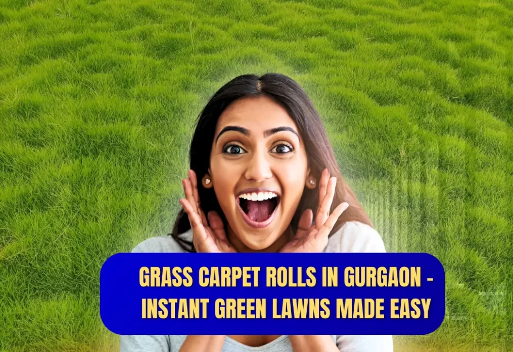 Grass Carpet Rolls in Gurgaon – Instant Green Lawns Made Easy