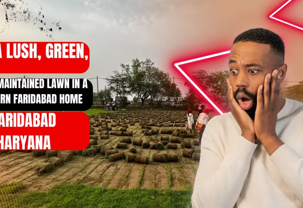 How to Grow & Maintain Long-Lasting Lawns in Faridabad Homes