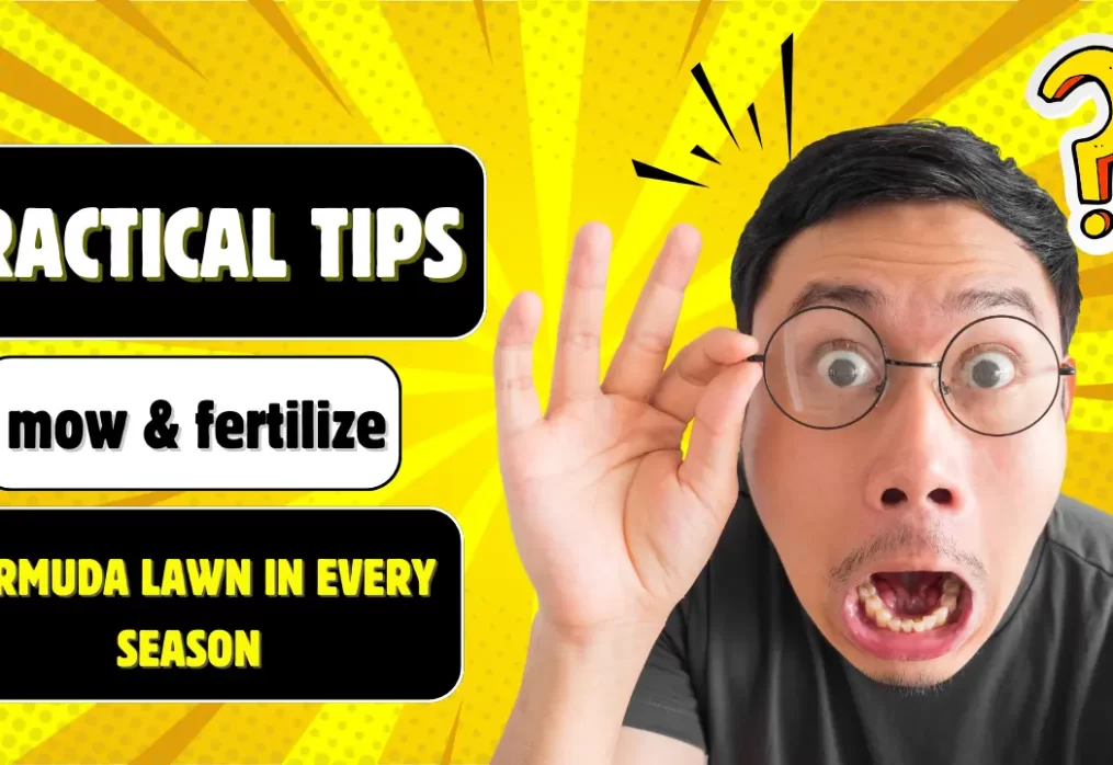How to Maintain Bermuda Grass in Indian Summers & Winters