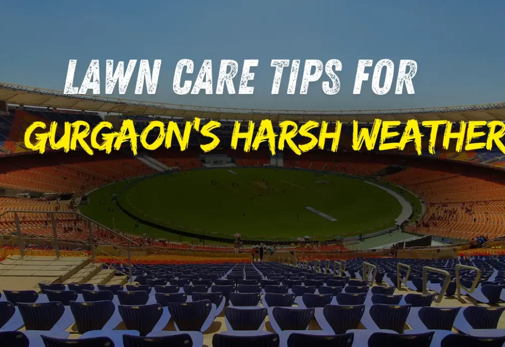 Lawn Care Tips for Gurgaon’s Harsh Weather