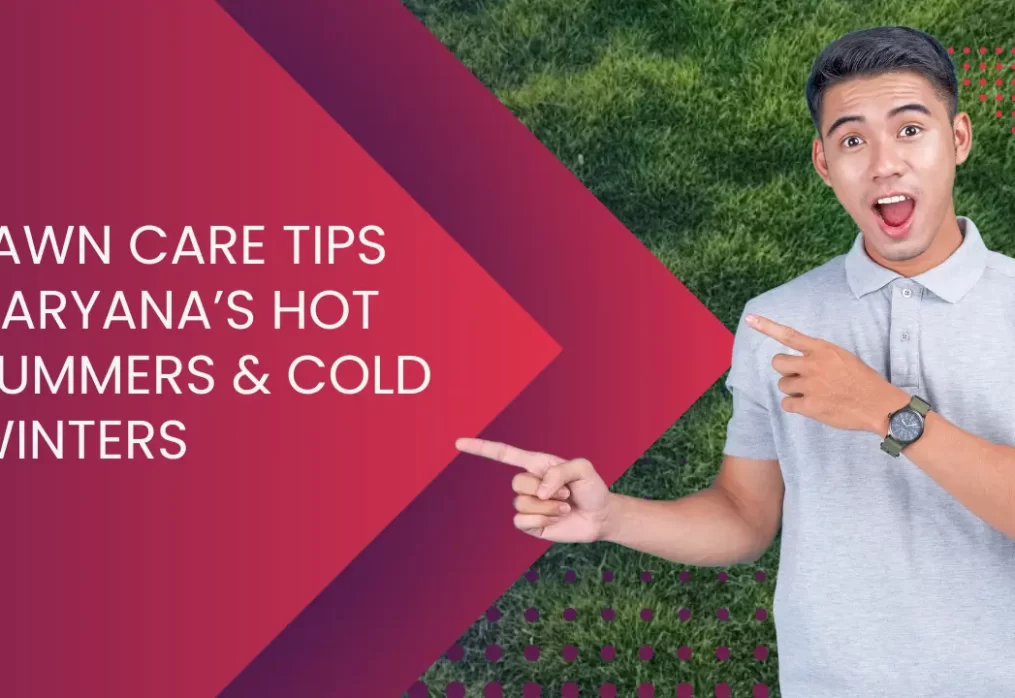Lawn Care Tips for Haryana’s Hot Summers & Cold Winters