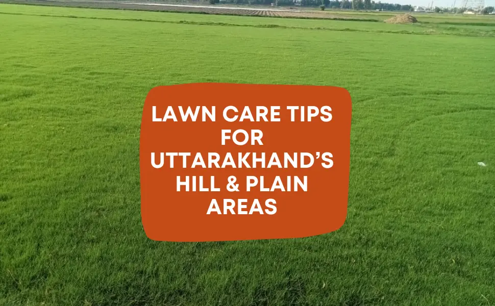 Lawn Care Tips for Uttarakhand’s Hill & Plain Areas