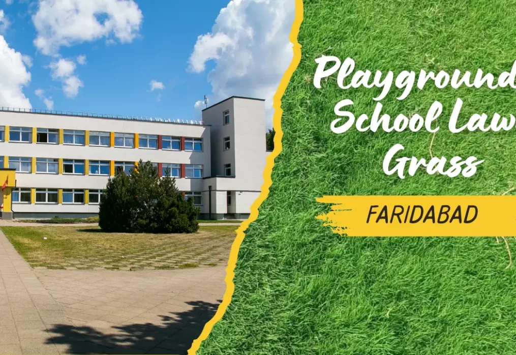 Playground & School Lawn Grass in Faridabad