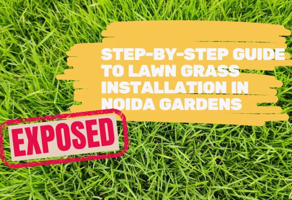 Step-by-Step Guide to Lawn Grass Installation in Noida Gardens