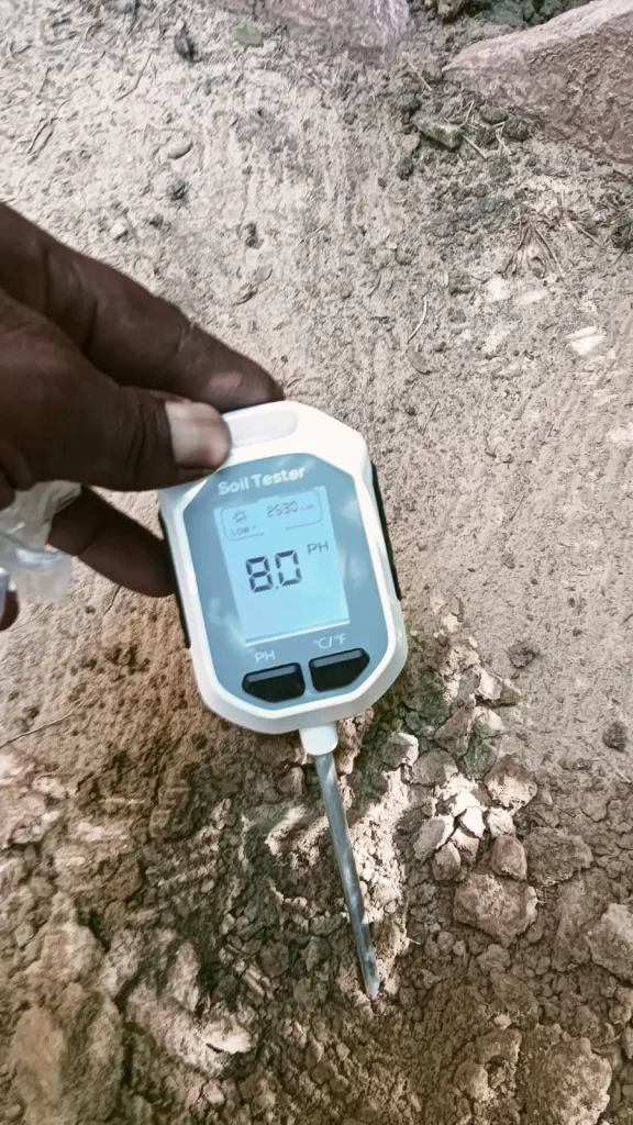 Measuring soil pH for lawn grass – Lawn care soil pH testing