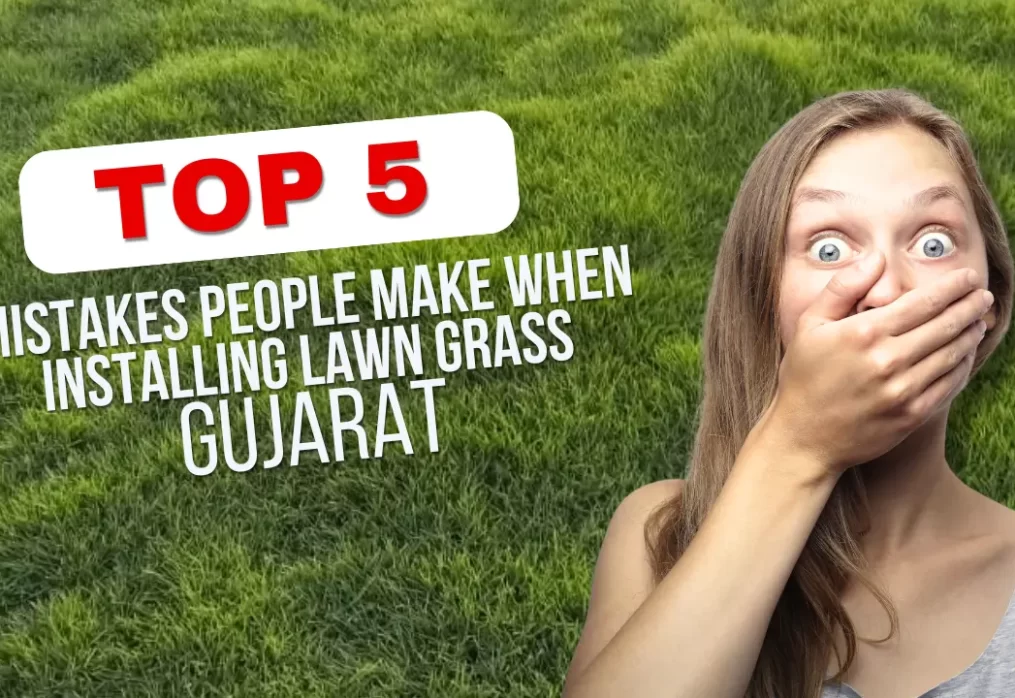 Top 5 Mistakes People Make When Installing Lawn Grass in Gujarat
