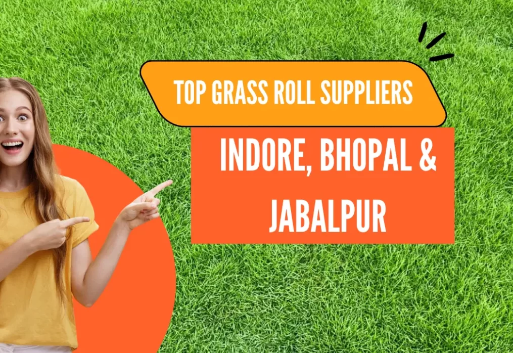 Top Grass Roll Suppliers in Indore, Bhopal & Jabalpur