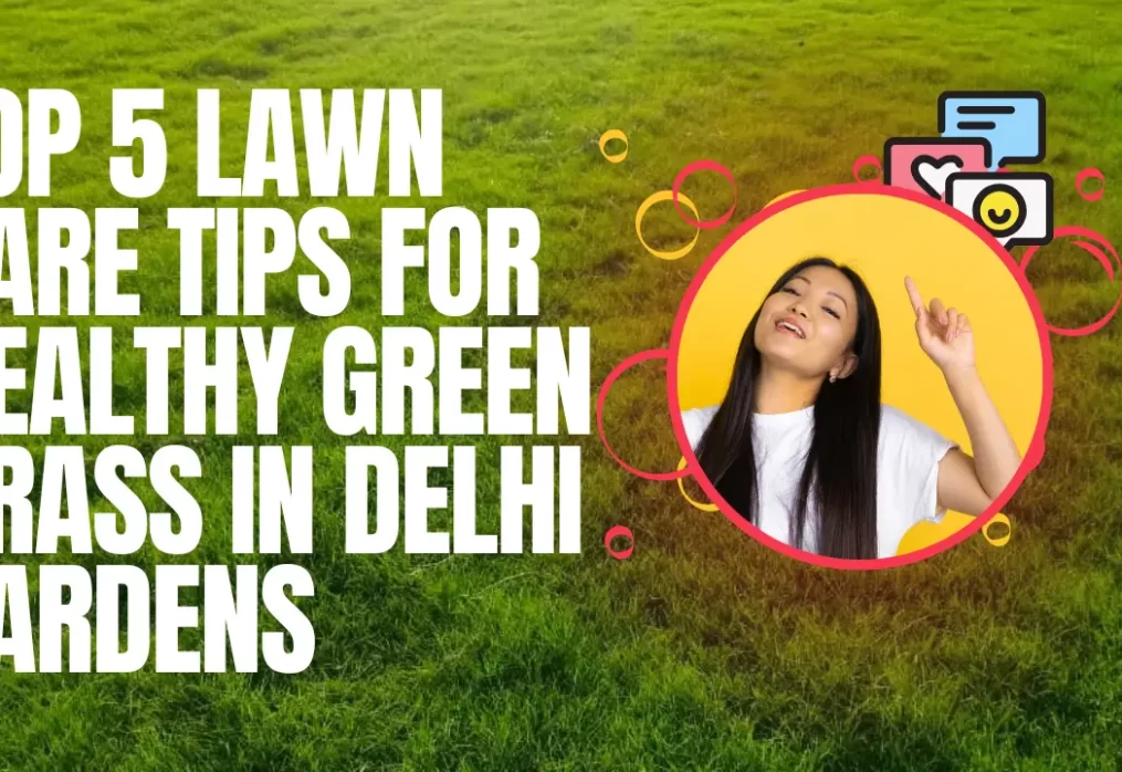Top 5 Lawn Care Tips for Healthy Green Grass in Delhi Gardens