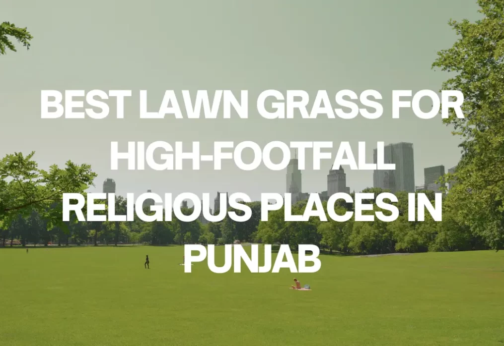 Best Lawn Grass for High-Footfall Religious Places in Punjab