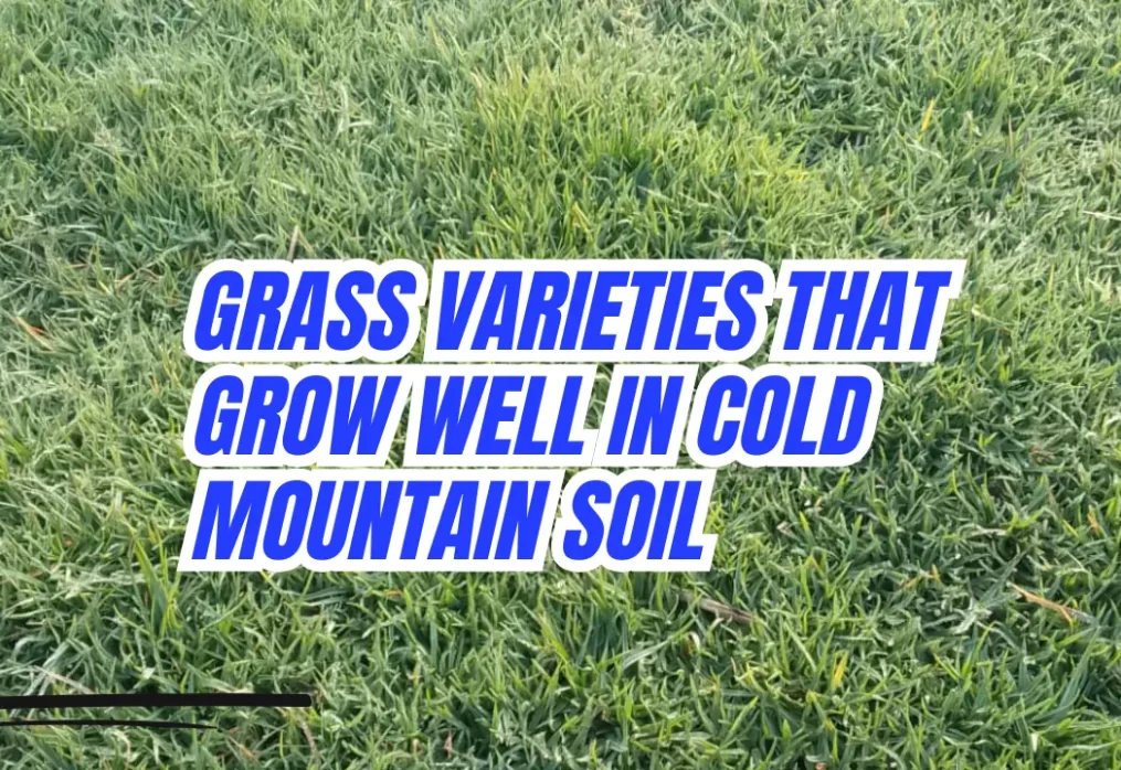 Grass Varieties That Grow Well in Cold Mountain Soil