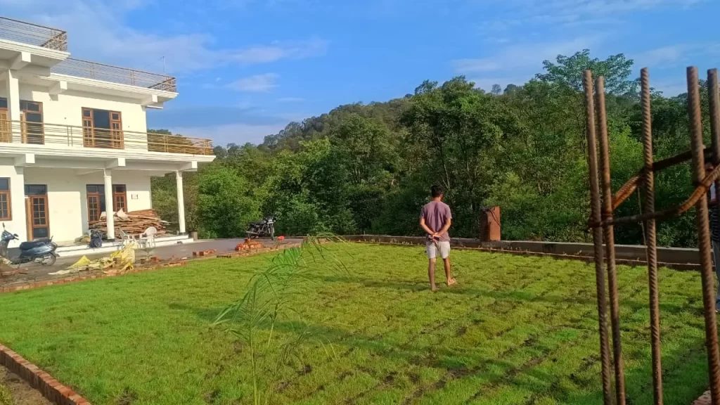 grass carpet failure reasons