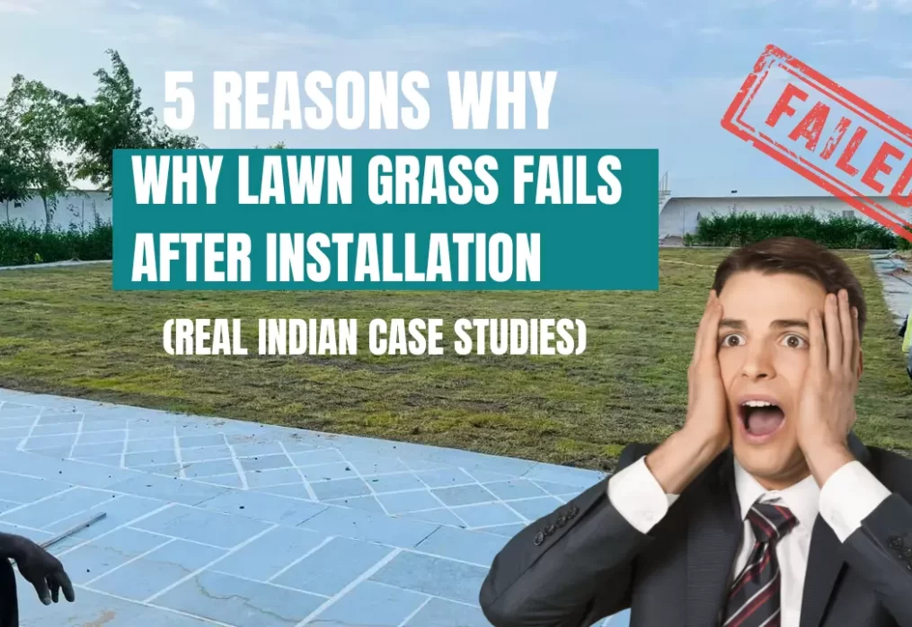 Why Lawn Grass Fails After Installation (Real Indian Case Studies)