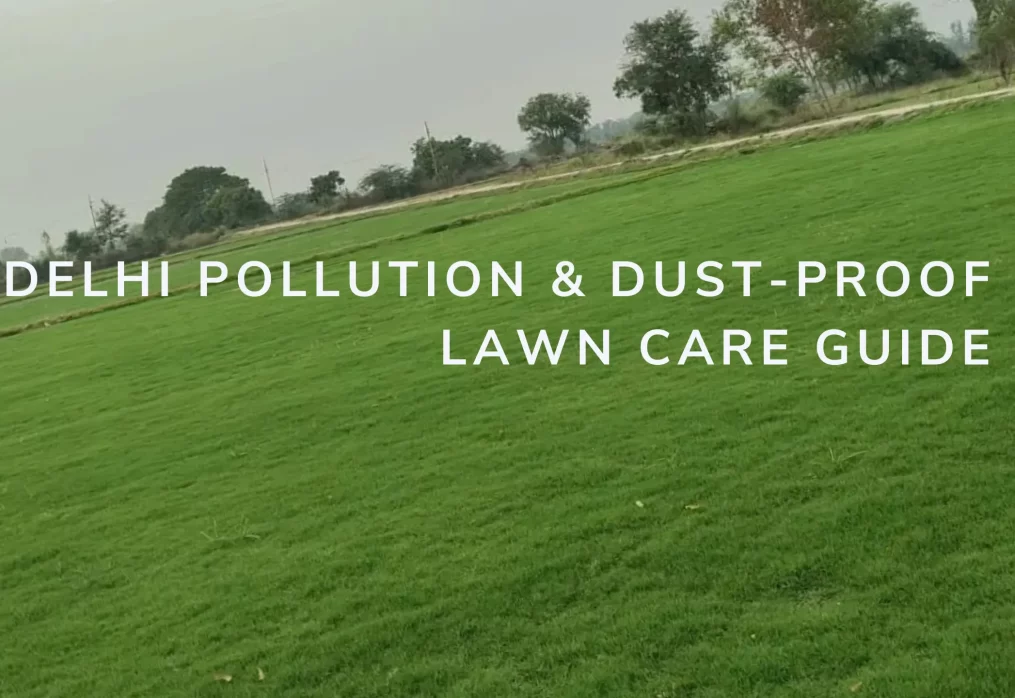 Delhi Pollution & Dust-Proof Lawn Care Guide