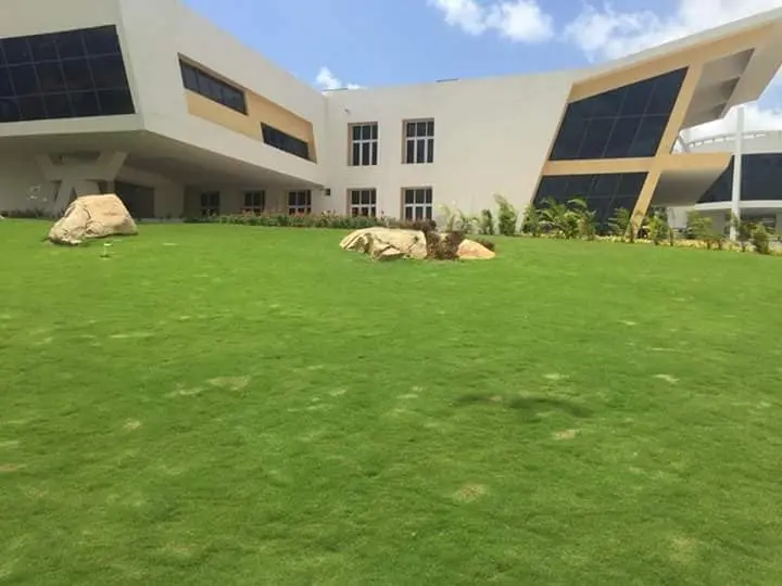 Natural lawn grass supplier near GT Road Punjab
