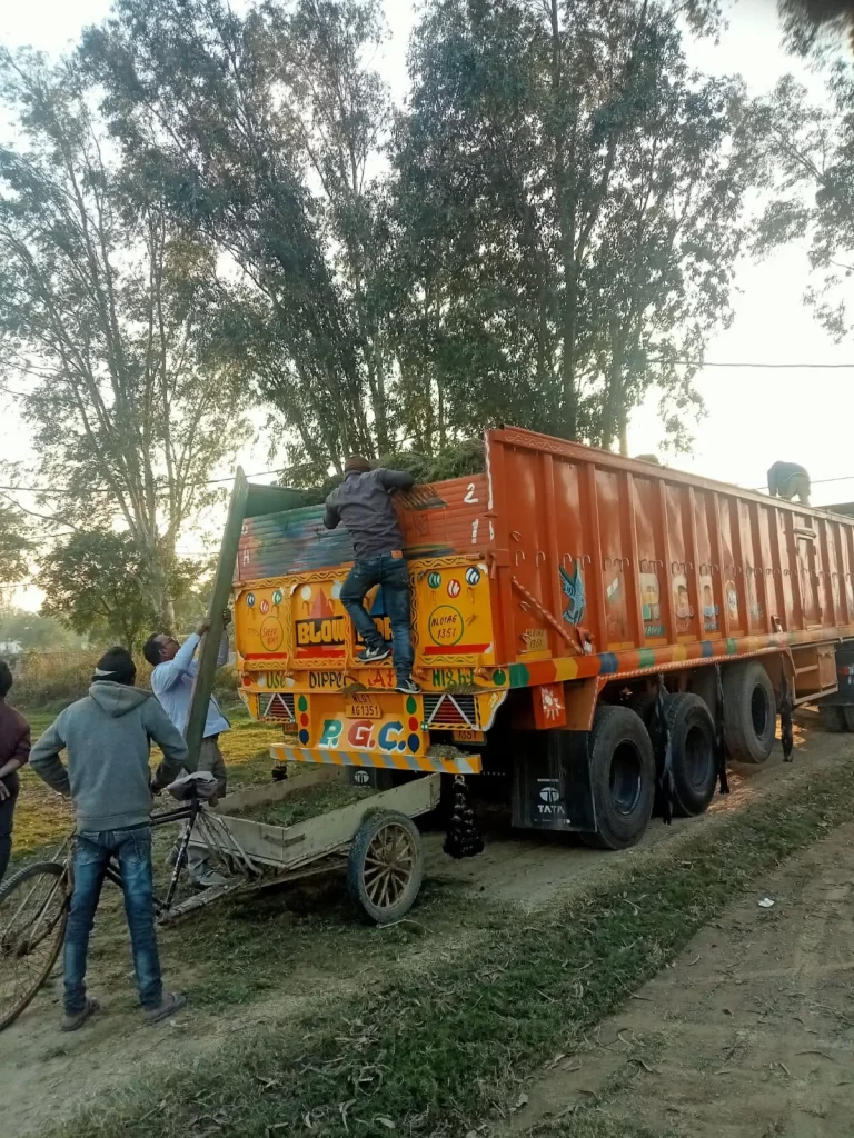 Garden grass supplier Punjab