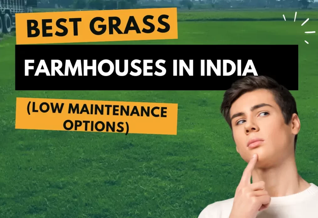 Best Grass for Farmhouses in India (Low Maintenance Options)