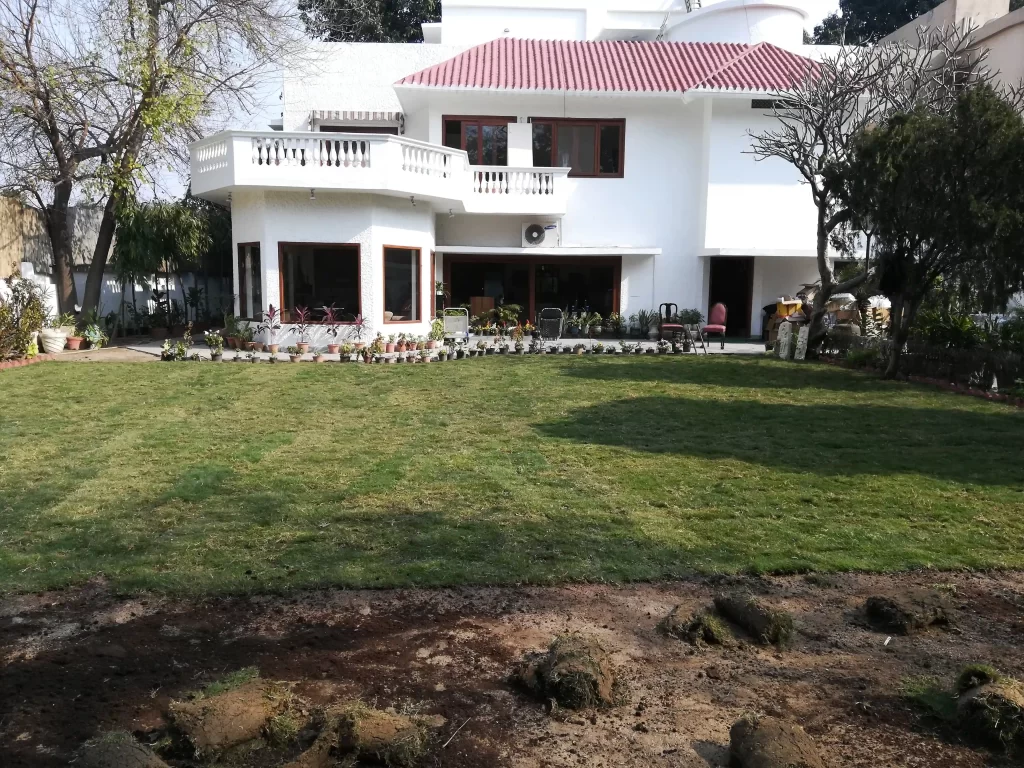 Natural lawn grass for farmhouse and home in Rupnagar Punjab