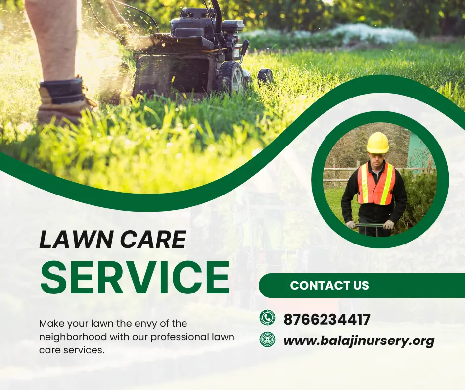 Mali rental services in Delhi