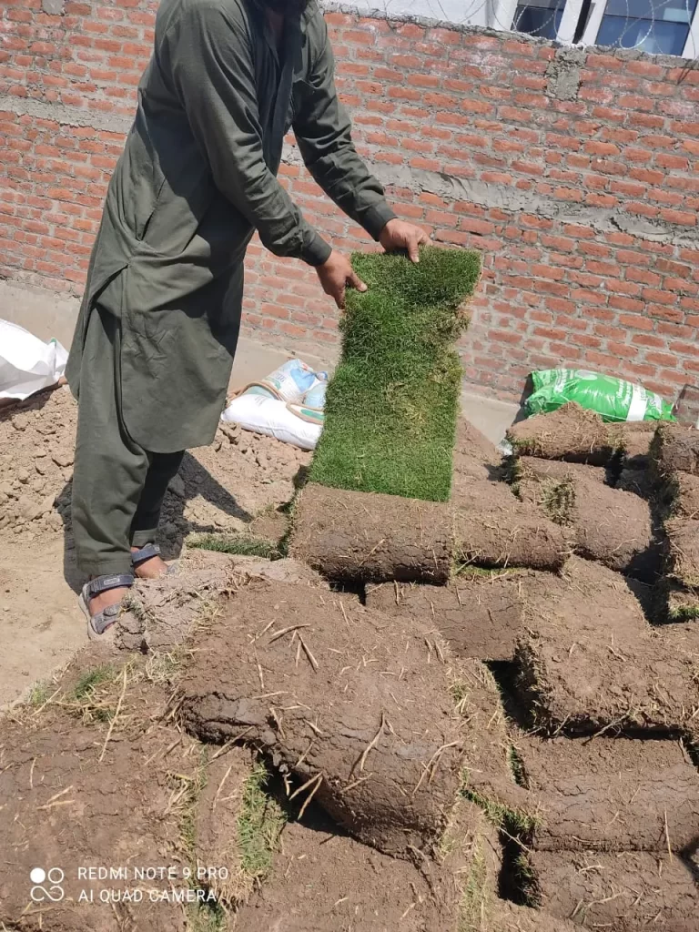 Large open farmhouse land converted into green lawn near Delhi NCR