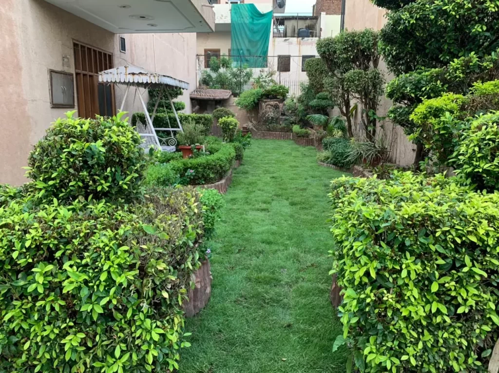 Fresh lawn grass delivery near KMP Expressway