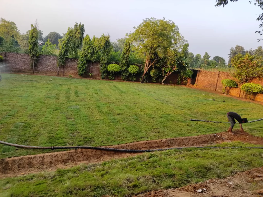 industrial lawn grass supplier in Panipat