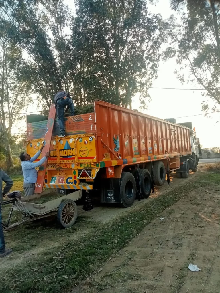 Natural grass carpet installation near KMP Expressway