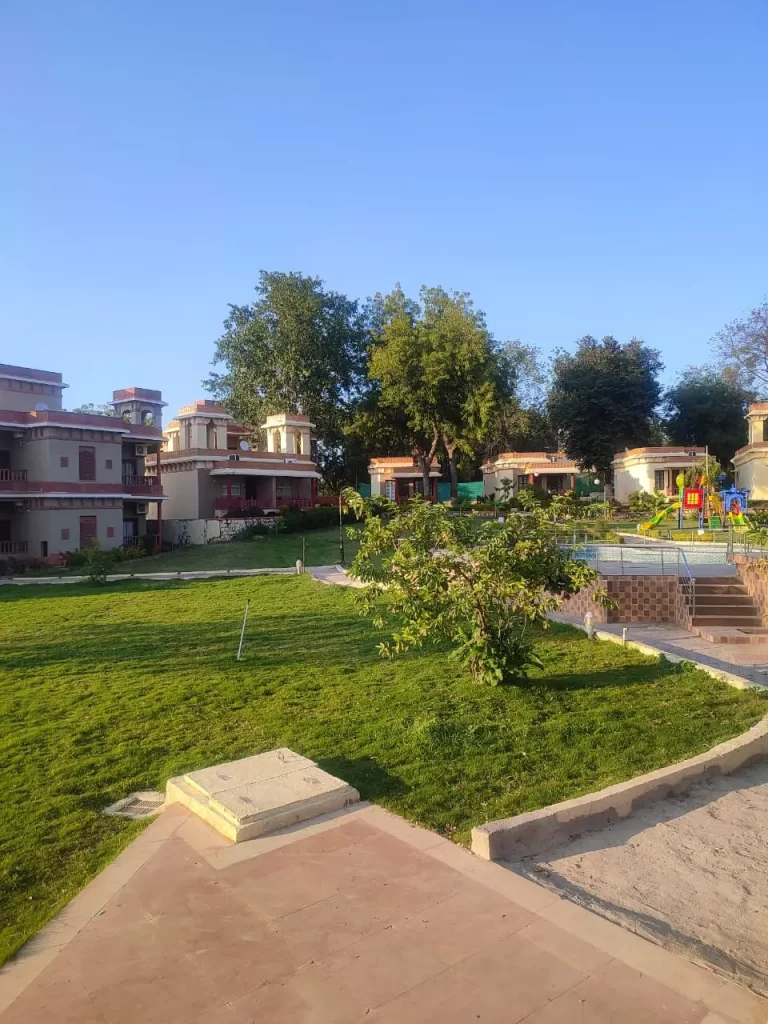 Natural lawn grass in Faridkot district