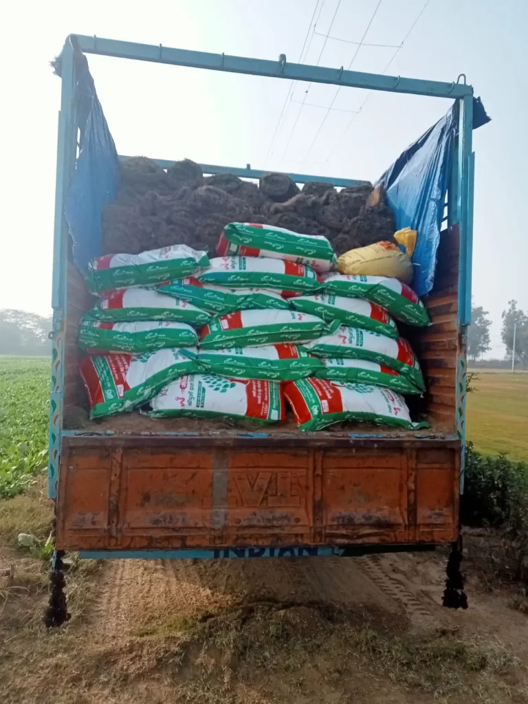 Lawn grass installation in Ferozepur district