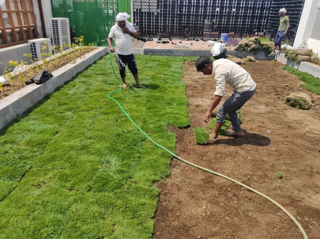 Natural grass carpet installation in Mahendragarh