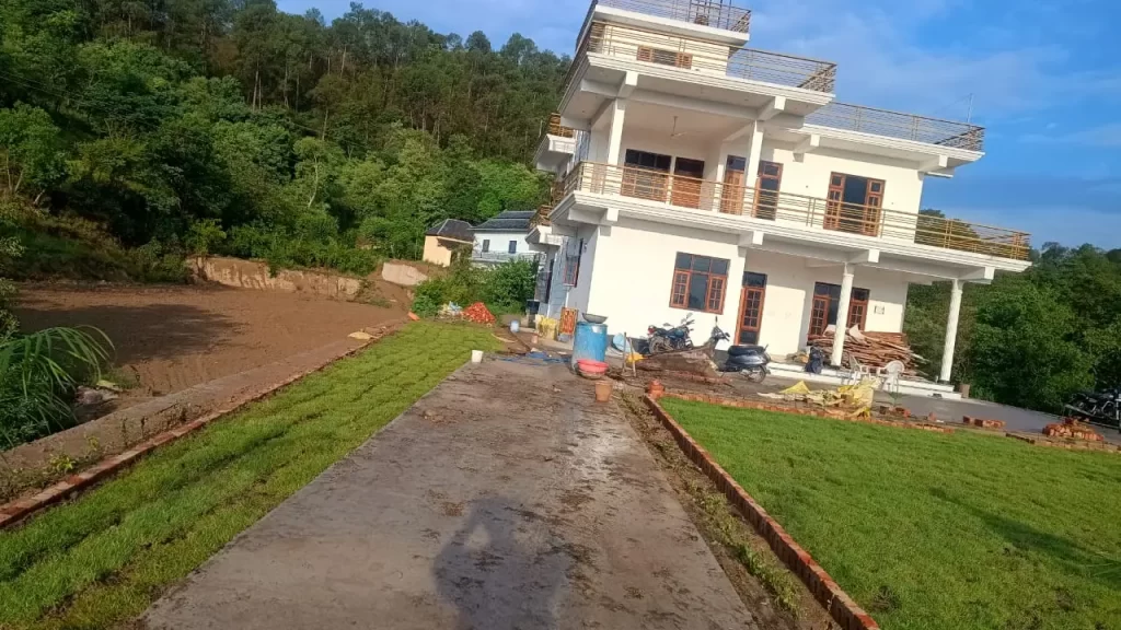 Natural lawn grass near Western Peripheral Expressway