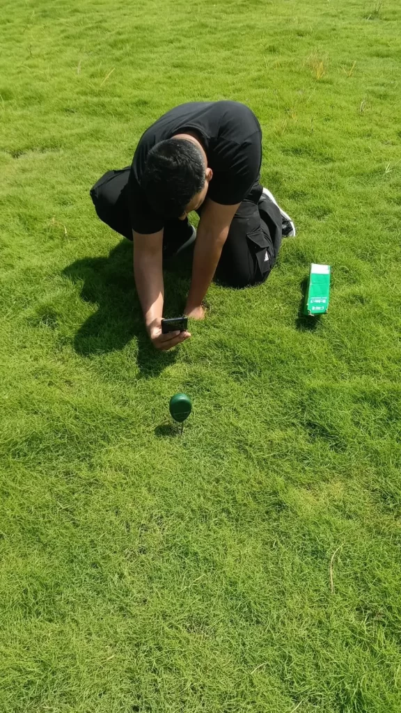 Bermuda grass in Moga district