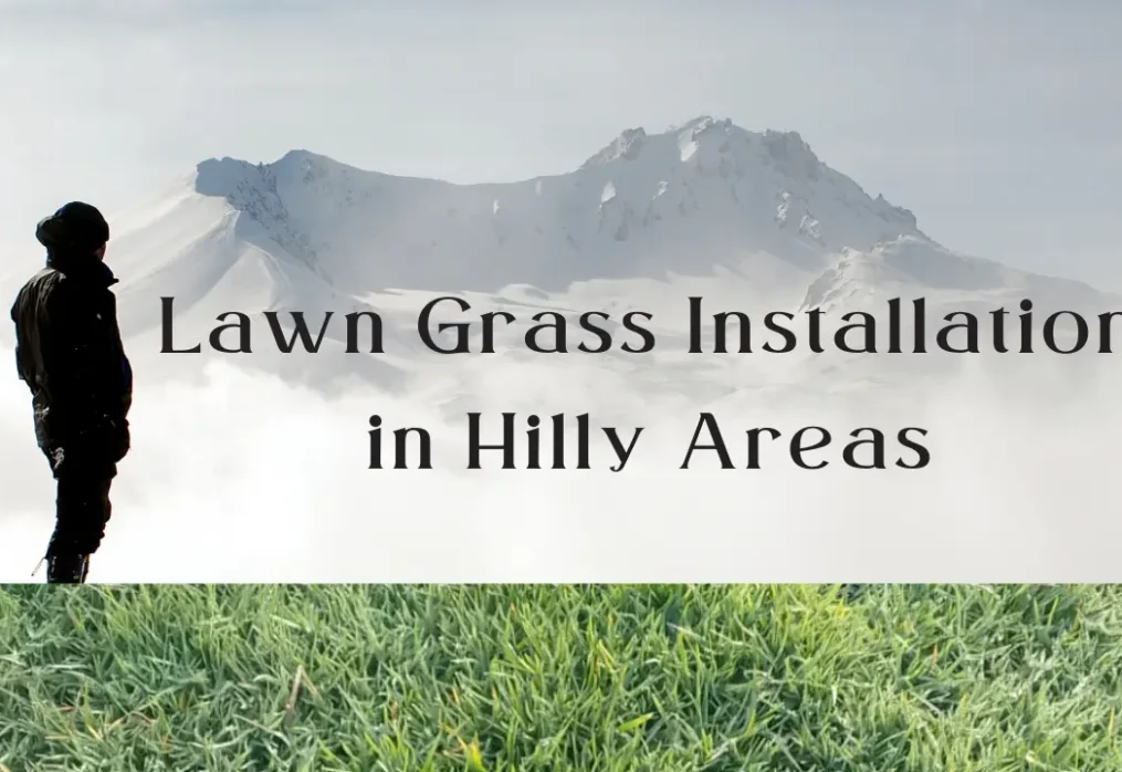 Lawn Grass Installation in Hilly Areas
