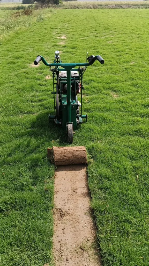 grass installation services Vadodara