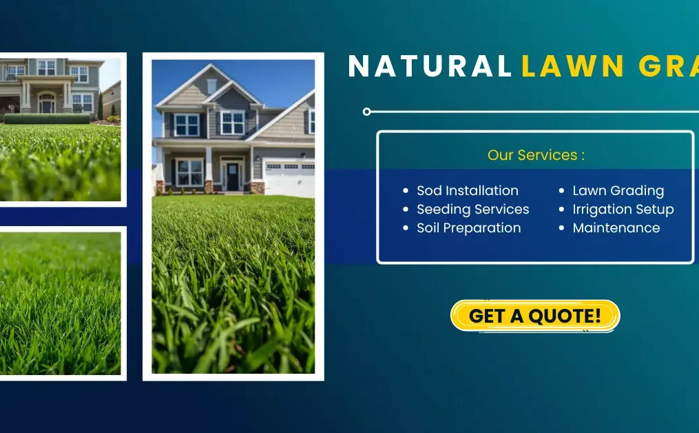 Natural Lawn Grass for New Home Construction