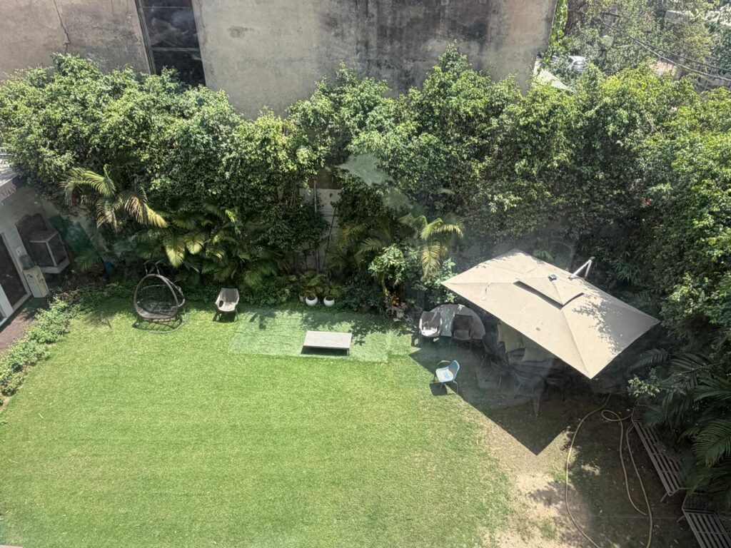 professional lawn removal